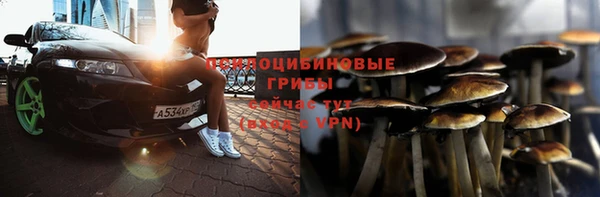 spice Нязепетровск