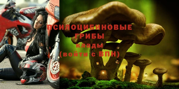 марки nbome Армянск