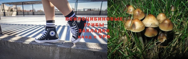 марки nbome Армянск